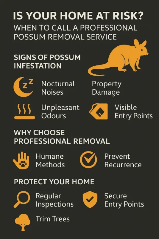 Is Your Home at Risk When to Call a Professional Possum Removal Service