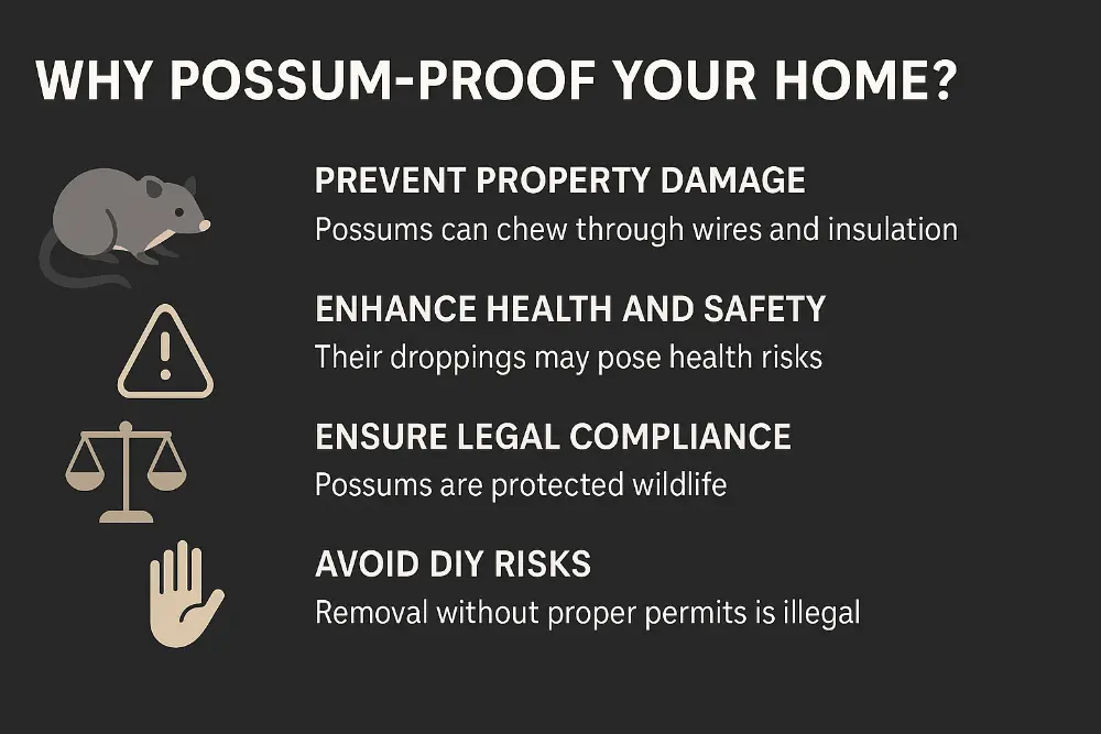 Why Should I Possum-Proof My Home Benefits Every Australian Property Owner Should Know