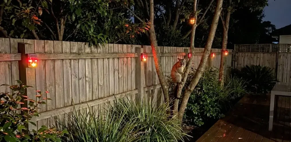 Possum Deterrent Lights That Actually Help: Do Motion Sensors Really Work for Your Home?