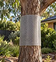 tree wrapping