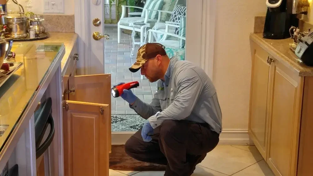 You Might Regret Skipping This: Why Regular Pest Inspections Could Save Your Home (and Your Wallet)